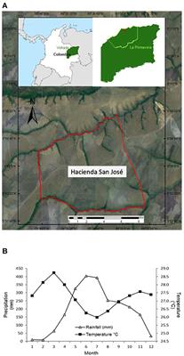 Soil carbon stocks and nitrous oxide emissions of pasture systems in Orinoquía region of Colombia: Potential for developing land-based greenhouse gas removal projects